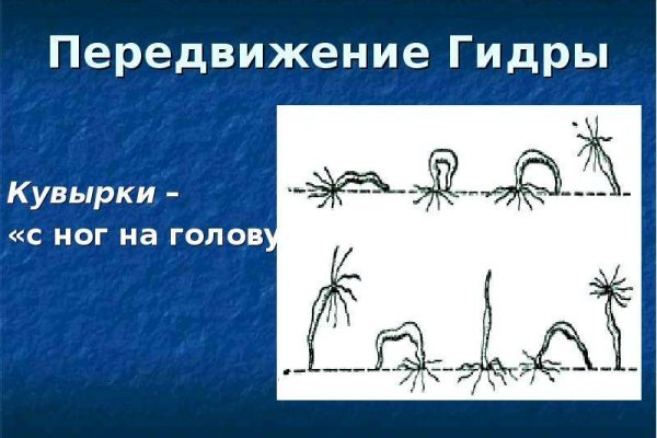 Kraken сайт kraken torion